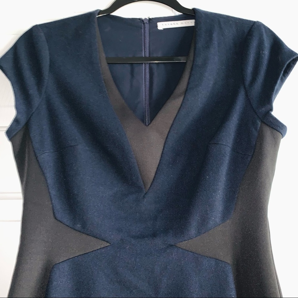 Susana Monaco V-Neck Color Block Wool Sheath | 4